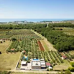 Villa Stanzietta Novigrad For 10 At Olive Orchard *
