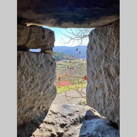 Stanzietta Novigrad For 10 At Olive Orchard Novigrad (Istria)