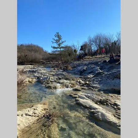 Stanzietta Novigrad For 10 At Olive Orchard Villa