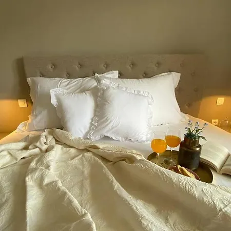 Villa Stanzietta Novigrad For 10 At Olive Orchard *