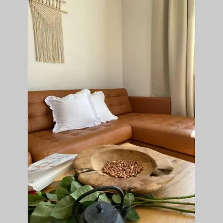 Stanzietta Novigrad For 10 At Olive Orchard Novigrad (Istria)