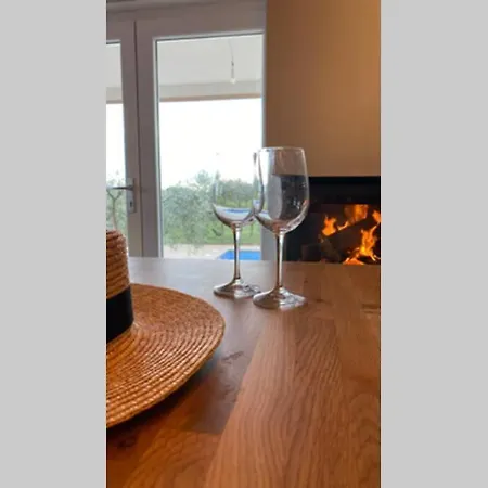 Villa Stanzietta Novigrad For 10 At Olive Orchard
