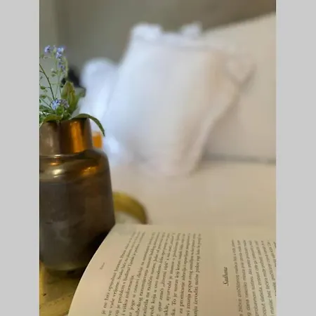 Stanzietta Novigrad For 10 At Olive Orchard Villa