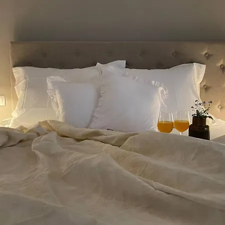 Villa Stanzietta Novigrad For 10 At Olive Orchard