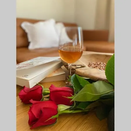 Villa Stanzietta Novigrad For 10 At Olive Orchard