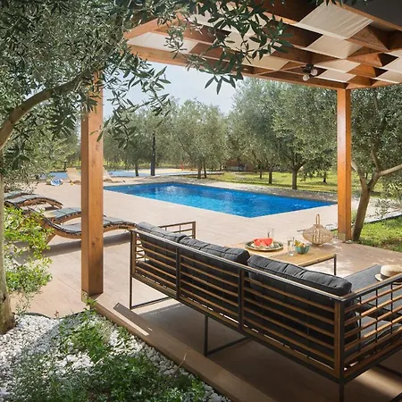 Stanzietta Novigrad For 10 At Olive Orchard
