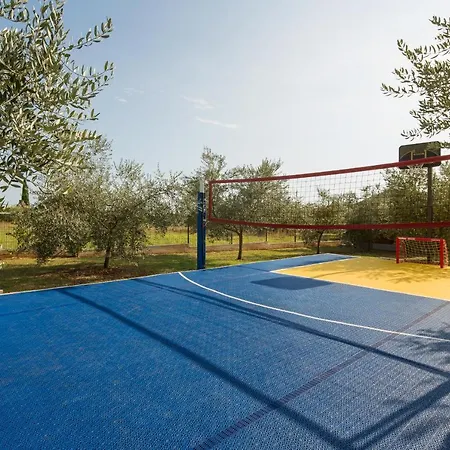 Villa Stanzietta Novigrad For 10 At Olive Orchard