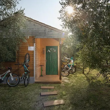 Villa Stanzietta Novigrad For 10 At Olive Orchard *