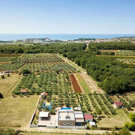 Villa Stanzietta Novigrad For 10 At Olive Orchard *