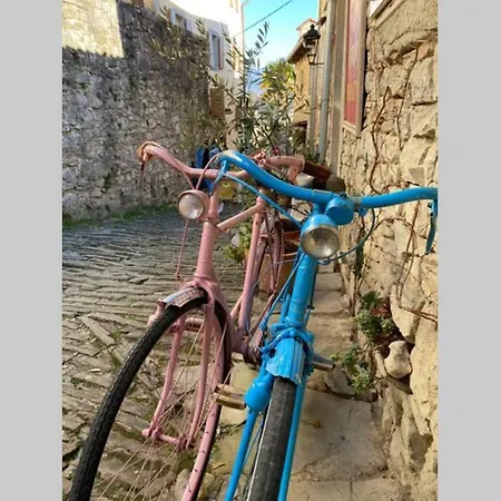 Stanzietta Novigrad For 10 At Olive Orchard Новиград