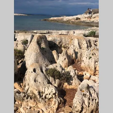 Stanzietta Novigrad For 10 At Olive Orchard ヴィラ Novigrad Istria