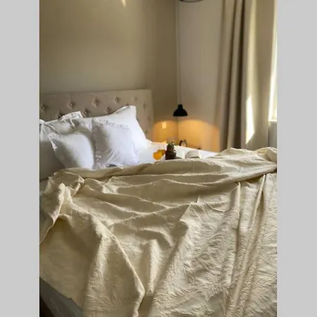 Stanzietta Novigrad For 10 At Olive Orchard Вилла *