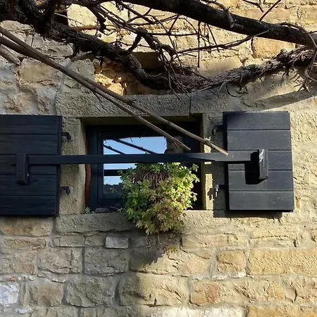 Вилла Stanzietta Novigrad For 10 At Olive Orchard