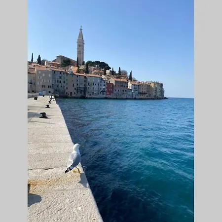 Stanzietta Novigrad For 10 At Olive Orchard Βίλα Novigrad Istria