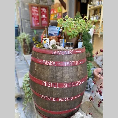 别墅 Stanzietta Novigrad For 10 At Olive Orchard Novigrad Istria