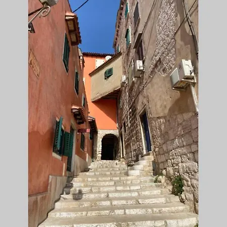 别墅 Stanzietta Novigrad For 10 At Olive Orchard