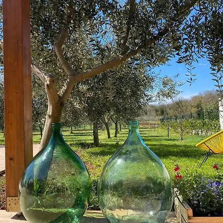 Stanzietta Novigrad For 10 At Olive Orchard 别墅
