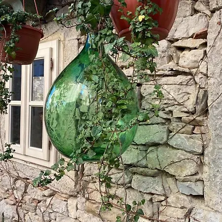Stanzietta Novigrad For 10 At Olive Orchard 别墅 *