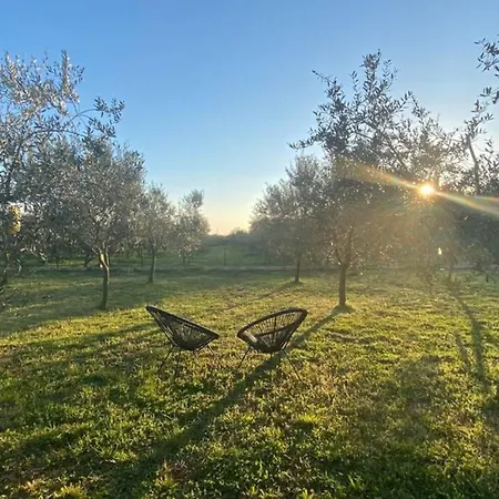Stanzietta Novigrad For 10 At Olive Orchard * Novigrad Istria