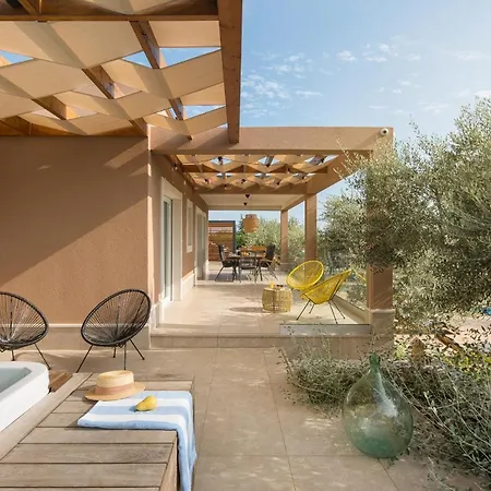 Stanzietta Novigrad For 10 At Olive Orchard