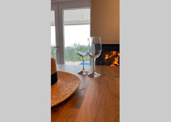 Villa Stanzietta Novigrad For 10 At Olive Orchard