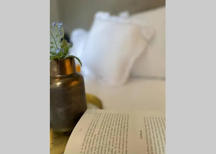 Stanzietta Novigrad For 10 At Olive Orchard Villa