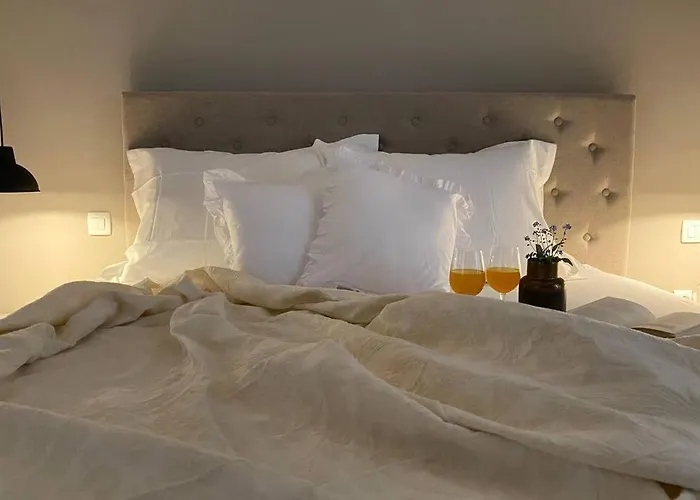 Villa Stanzietta Novigrad For 10 At Olive Orchard
