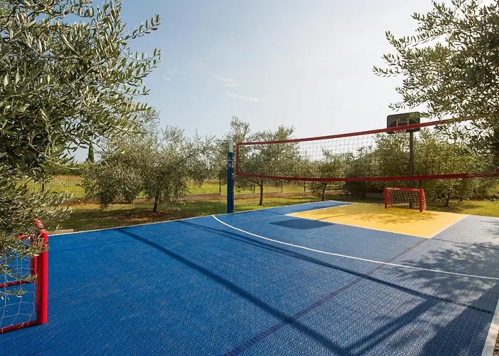 Villa Stanzietta Novigrad For 10 At Olive Orchard
