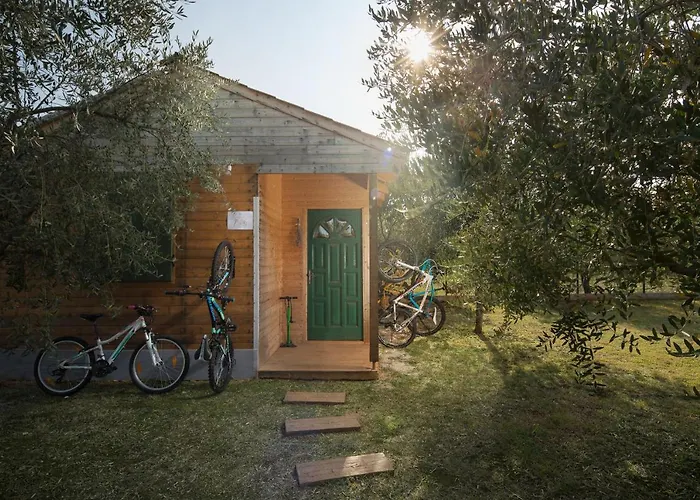 Villa Stanzietta Novigrad For 10 At Olive Orchard *